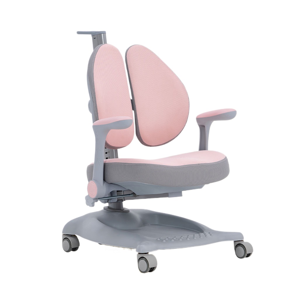 # 높이 조절 가능한 어린이 의자 책상 가정용 가구 제 - Office Furniture Manufacturers 리뷰 및 가격